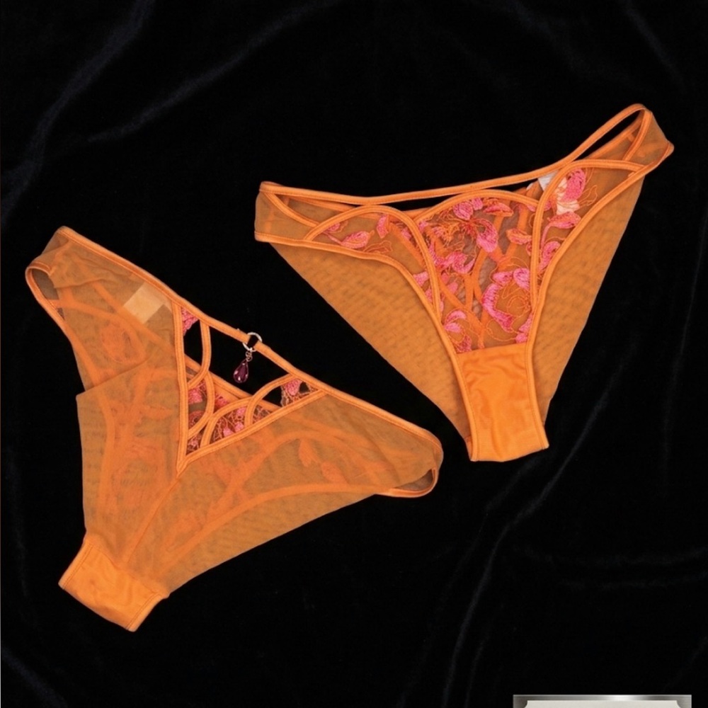 Honey Birdette Orange & Pink Sheer Embroidered Bikini Panties